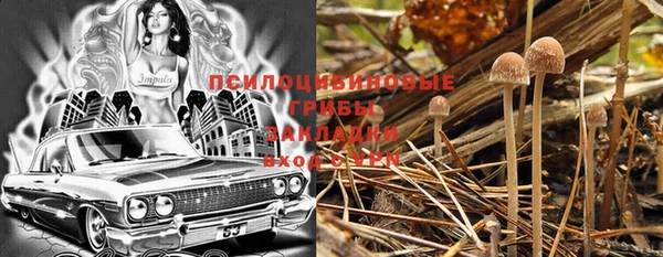 apvp Балабаново