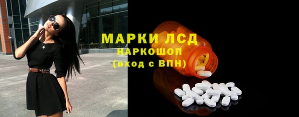 шишки Няндома