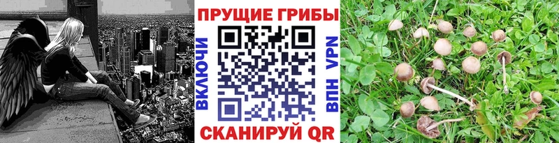 Псилоцибиновые грибы ЛСД Феодосия